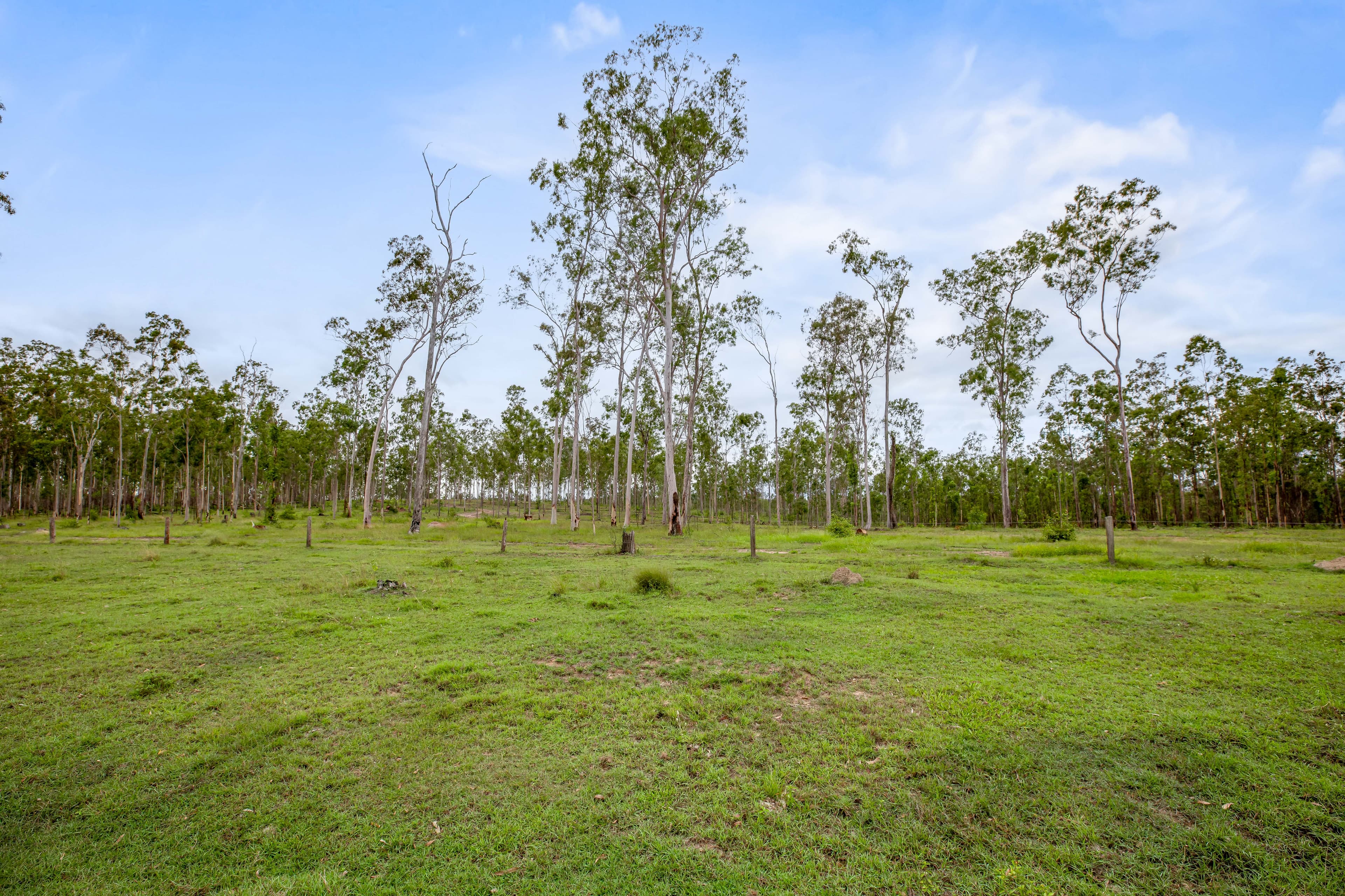 Lot 4, 128 Glen Echo Road Glen Echo, QLD, 4570,  - Thumbnail 6