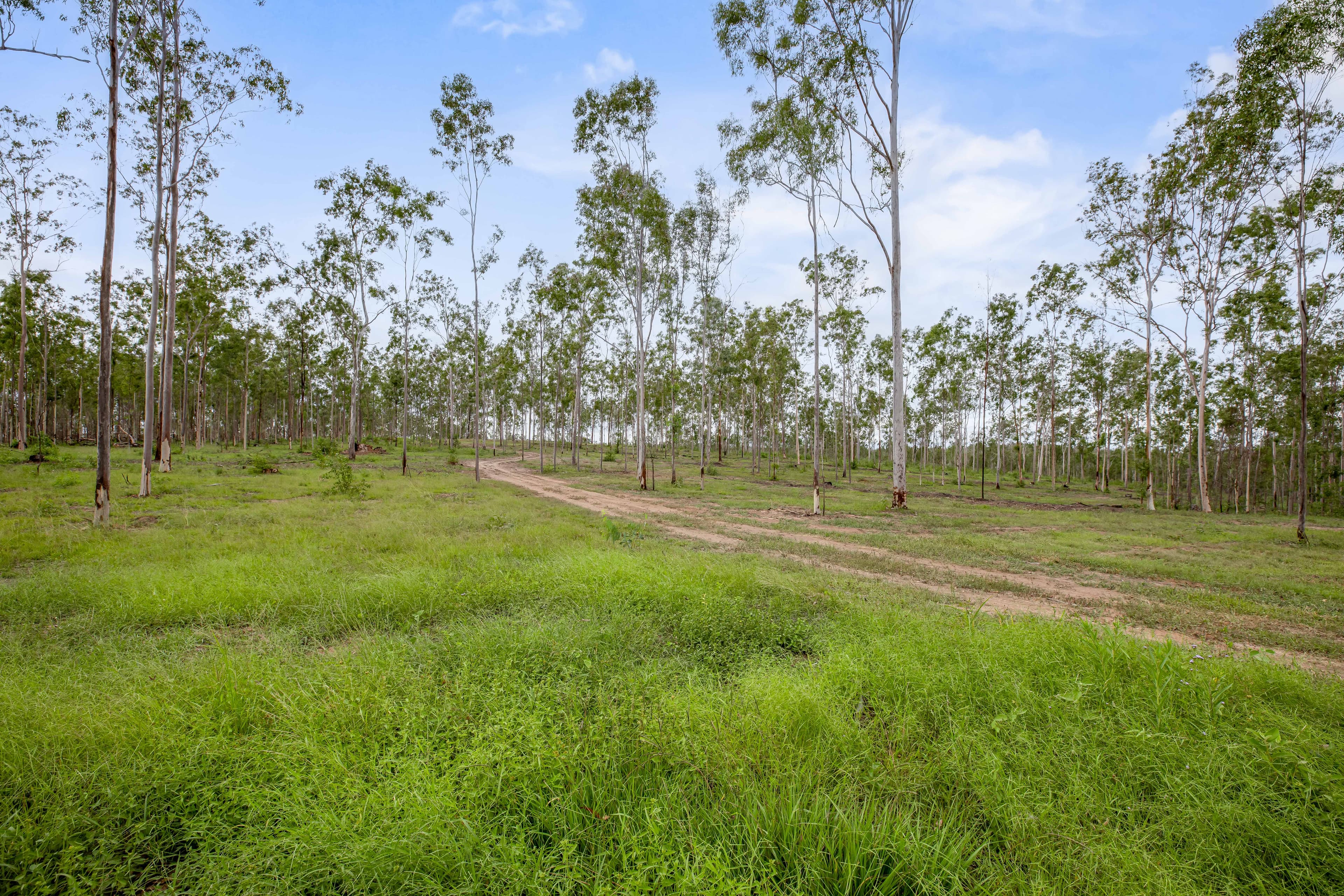 Lot 4, 128 Glen Echo Road Glen Echo, QLD, 4570,  - Thumbnail 7