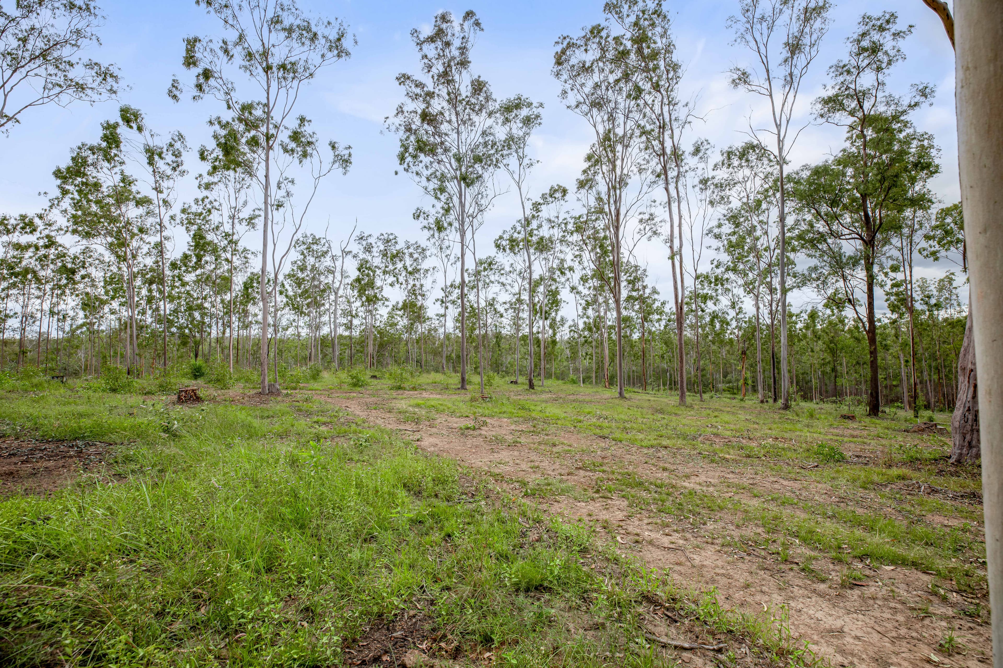Lot 4, 128 Glen Echo Road Glen Echo, QLD, 4570,  - Thumbnail 8