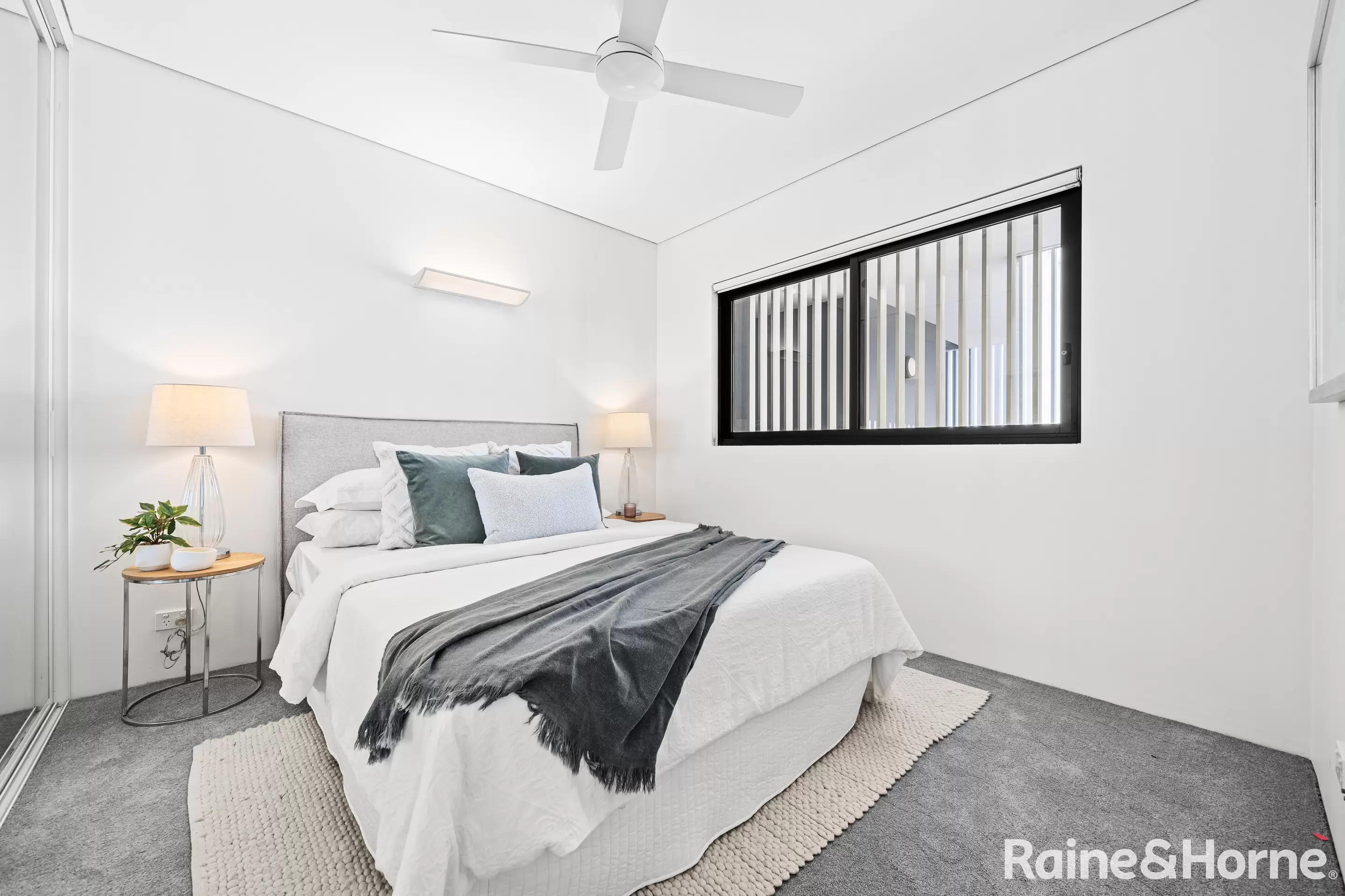 102/207 Barker Street, Randwick - Thumbnail 2