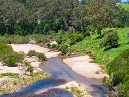 2131 The Snake Track, Towamba, NSW, 2550, Towamba - Thumbnail 2