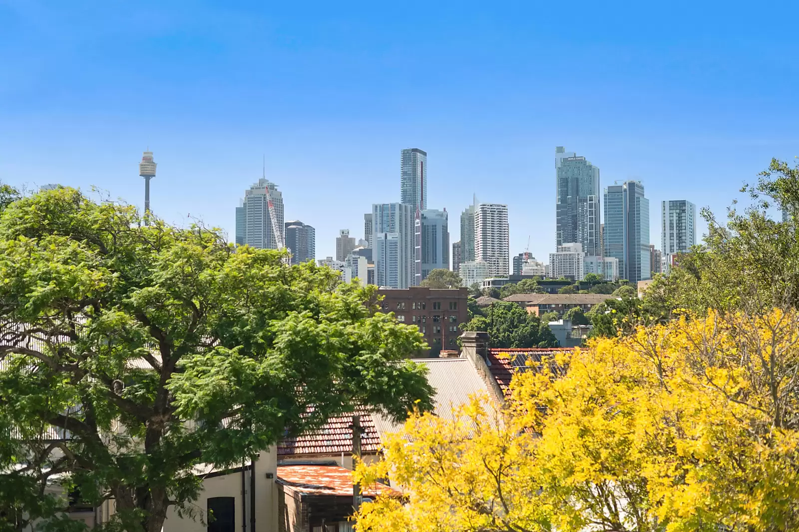 37 Darghan Street, Glebe, Glebe - Thumbnail 6