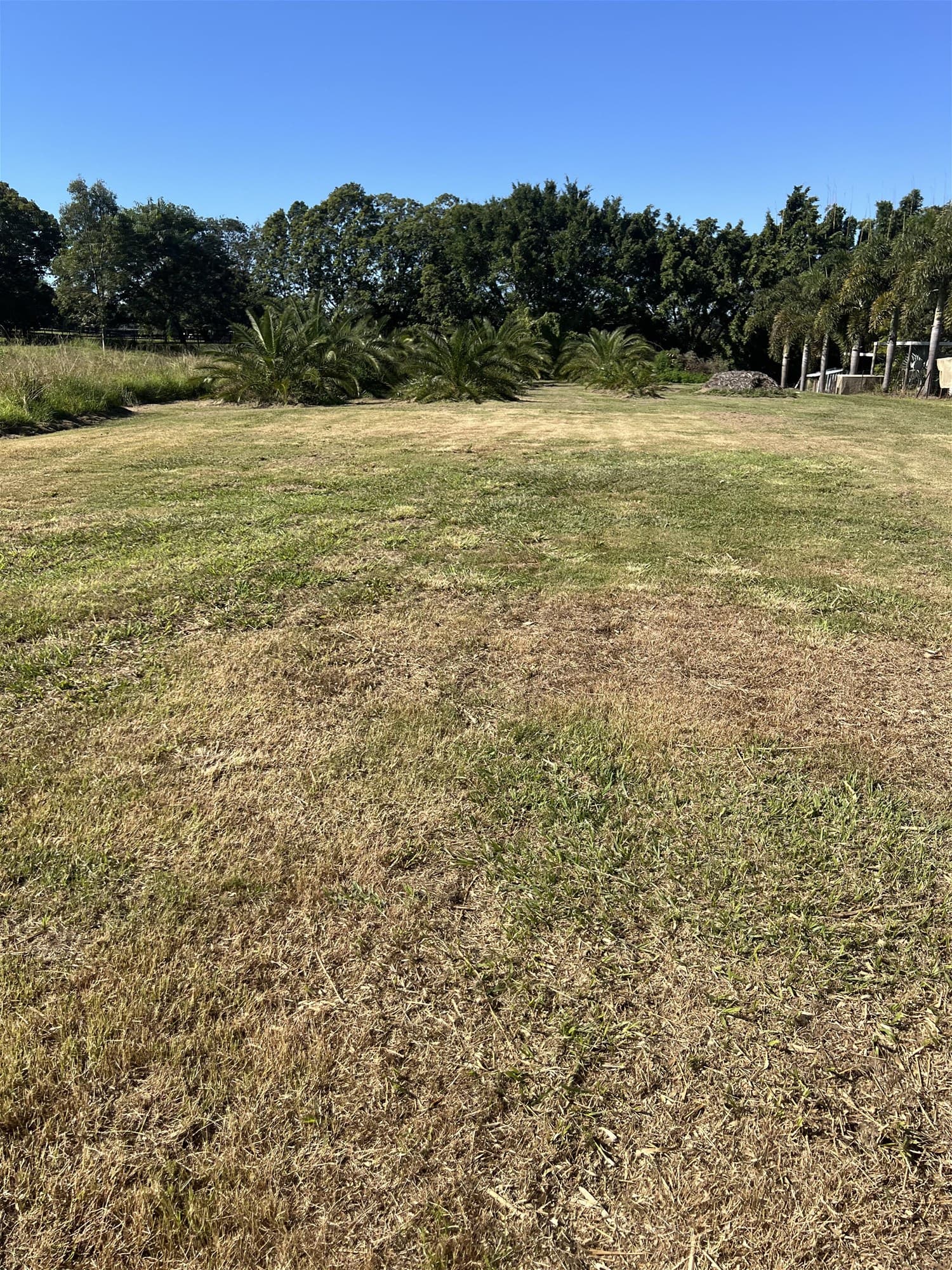 45 Bompa Road WATERFORD WEST, QLD, Waterford West - Thumbnail 3