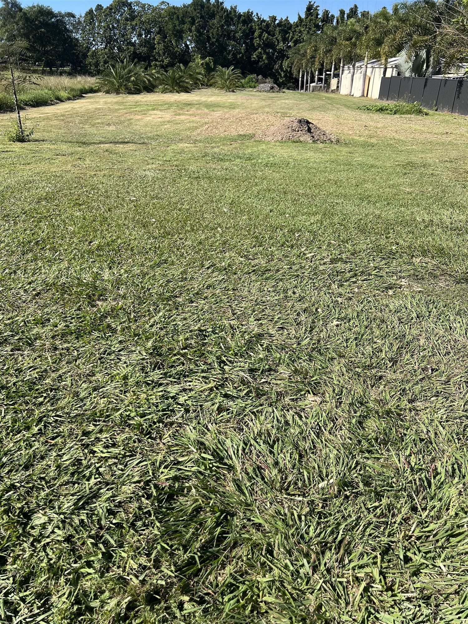 45 Bompa Road WATERFORD WEST, QLD, Waterford West - Thumbnail 4