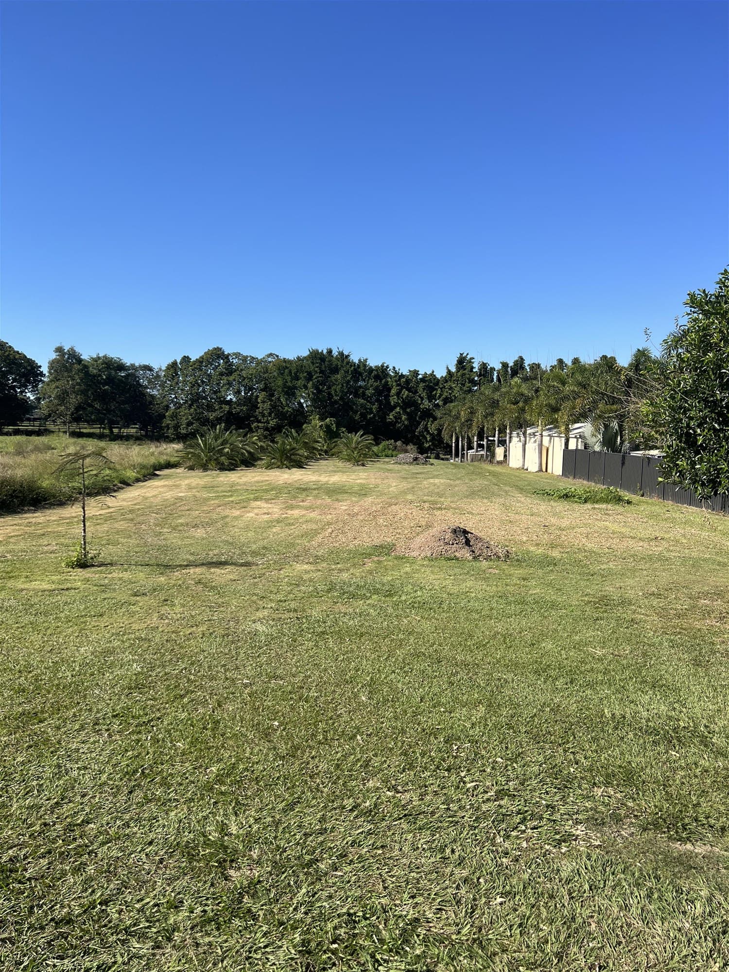 45 Bompa Road WATERFORD WEST, QLD, Waterford West - Thumbnail 7