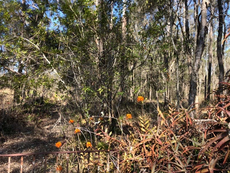 4408-4414 Mount Lindesay Highway MUNRUBEN, QLD, Munruben - Thumbnail 6