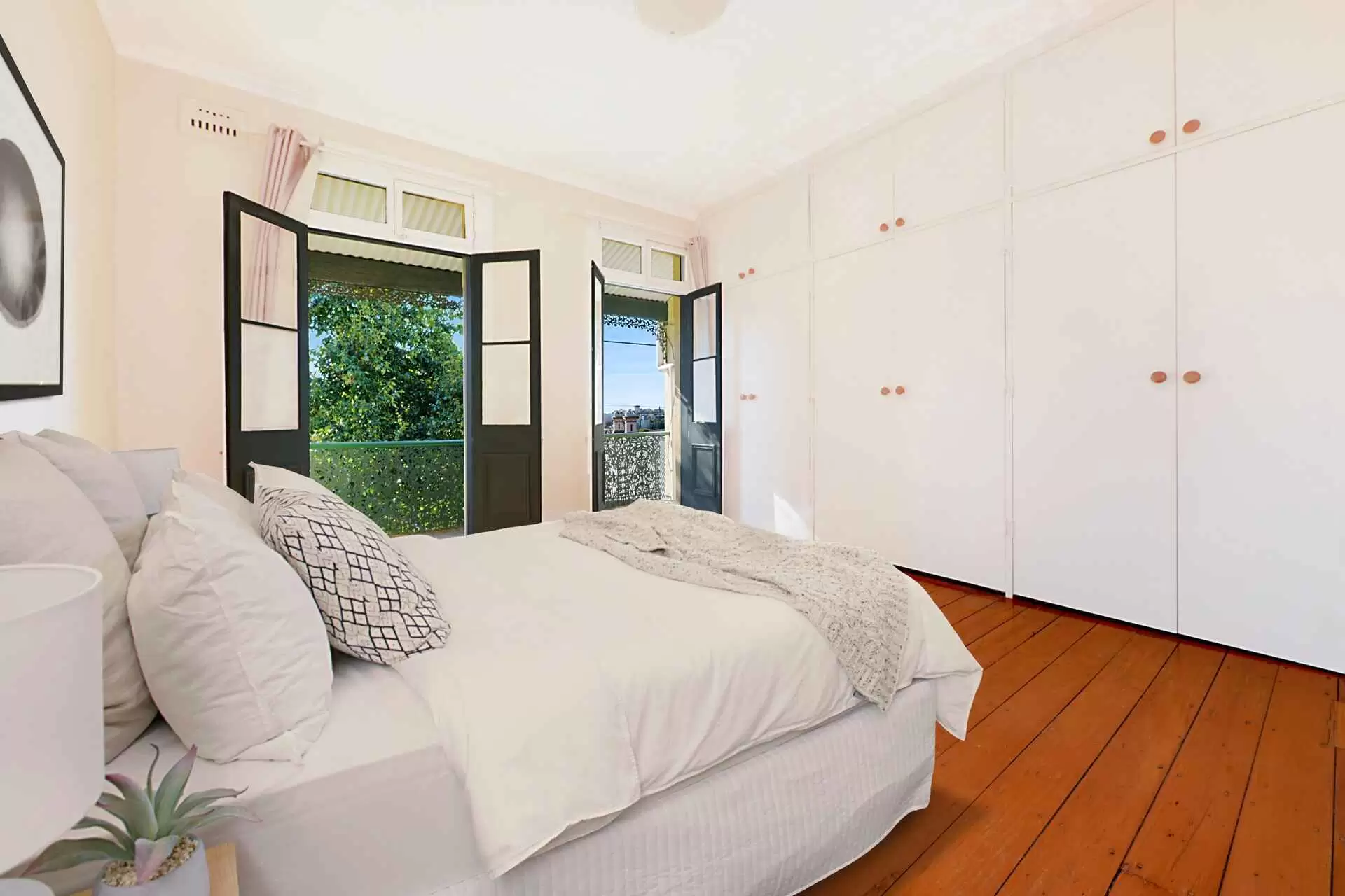 17 Olive Street, Paddington, Paddington - Thumbnail 4