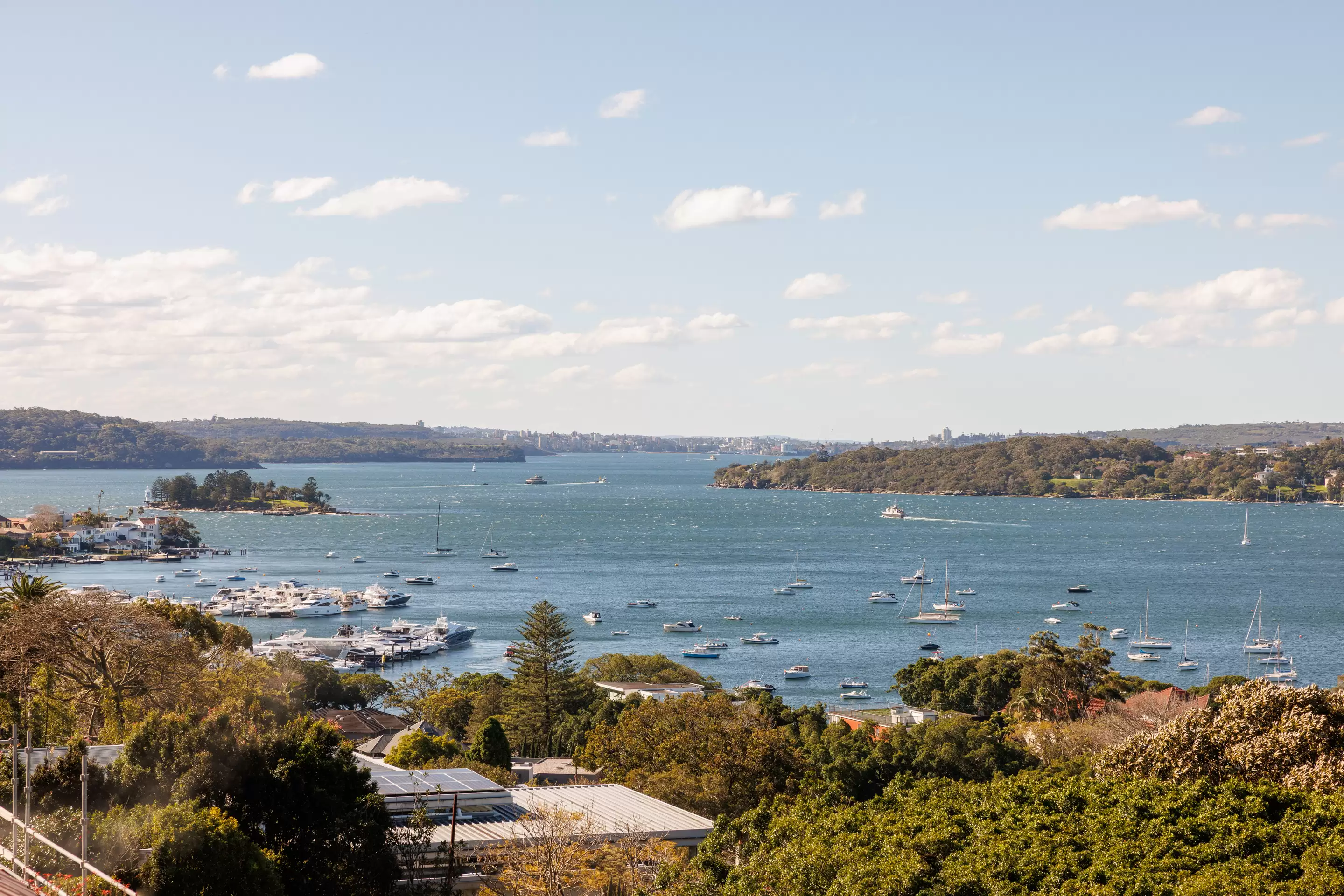 55A Cranbrook Road, Bellevue Hill, Bellevue Hill - Thumbnail 4