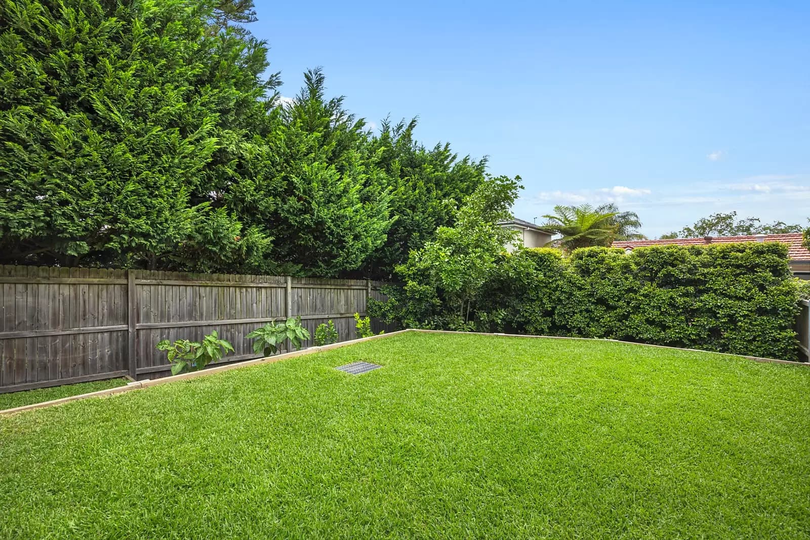 40a Creer Street, Randwick, Randwick - Thumbnail 7