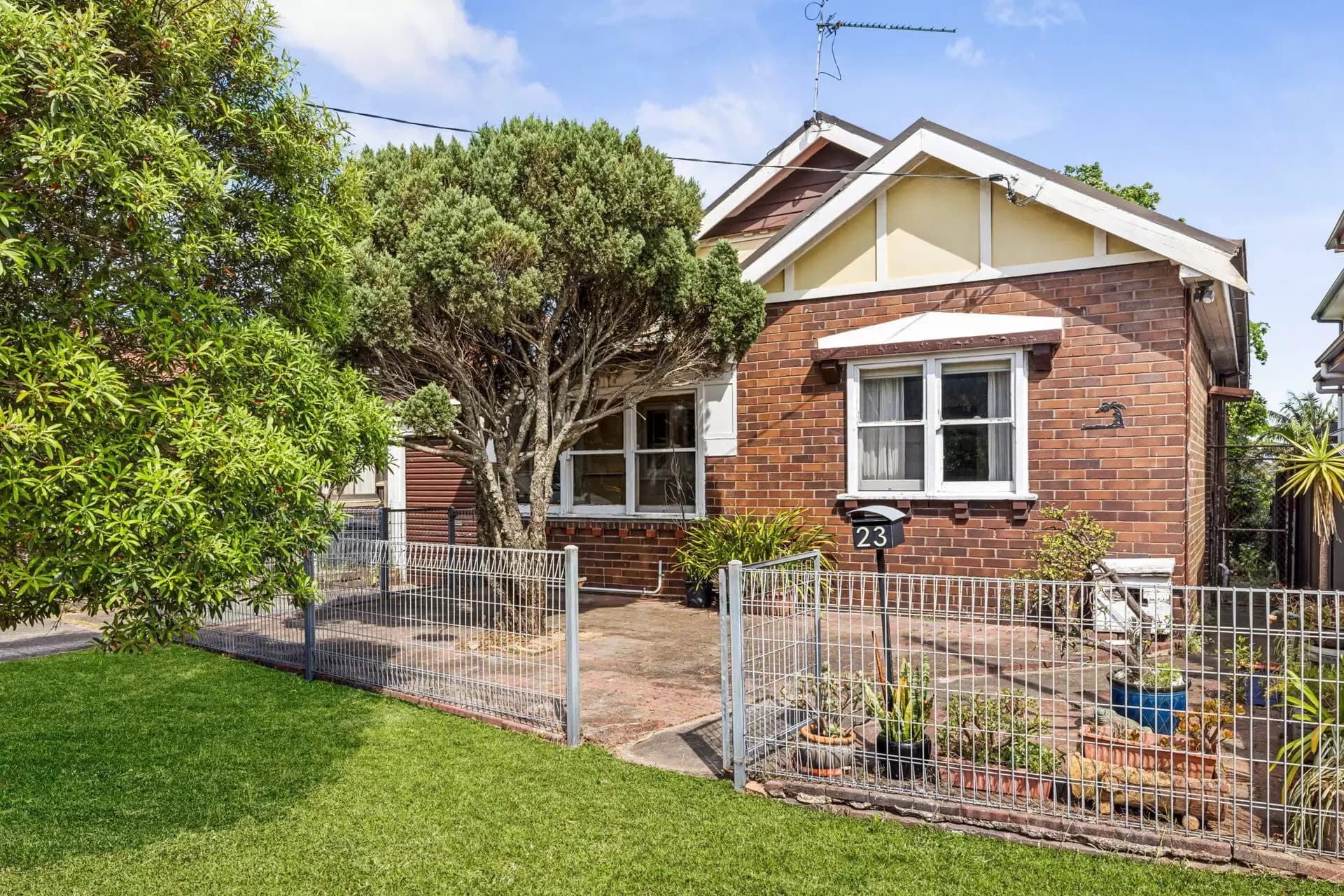 23 Haig Street, Maroubra, Maroubra - Thumbnail 3