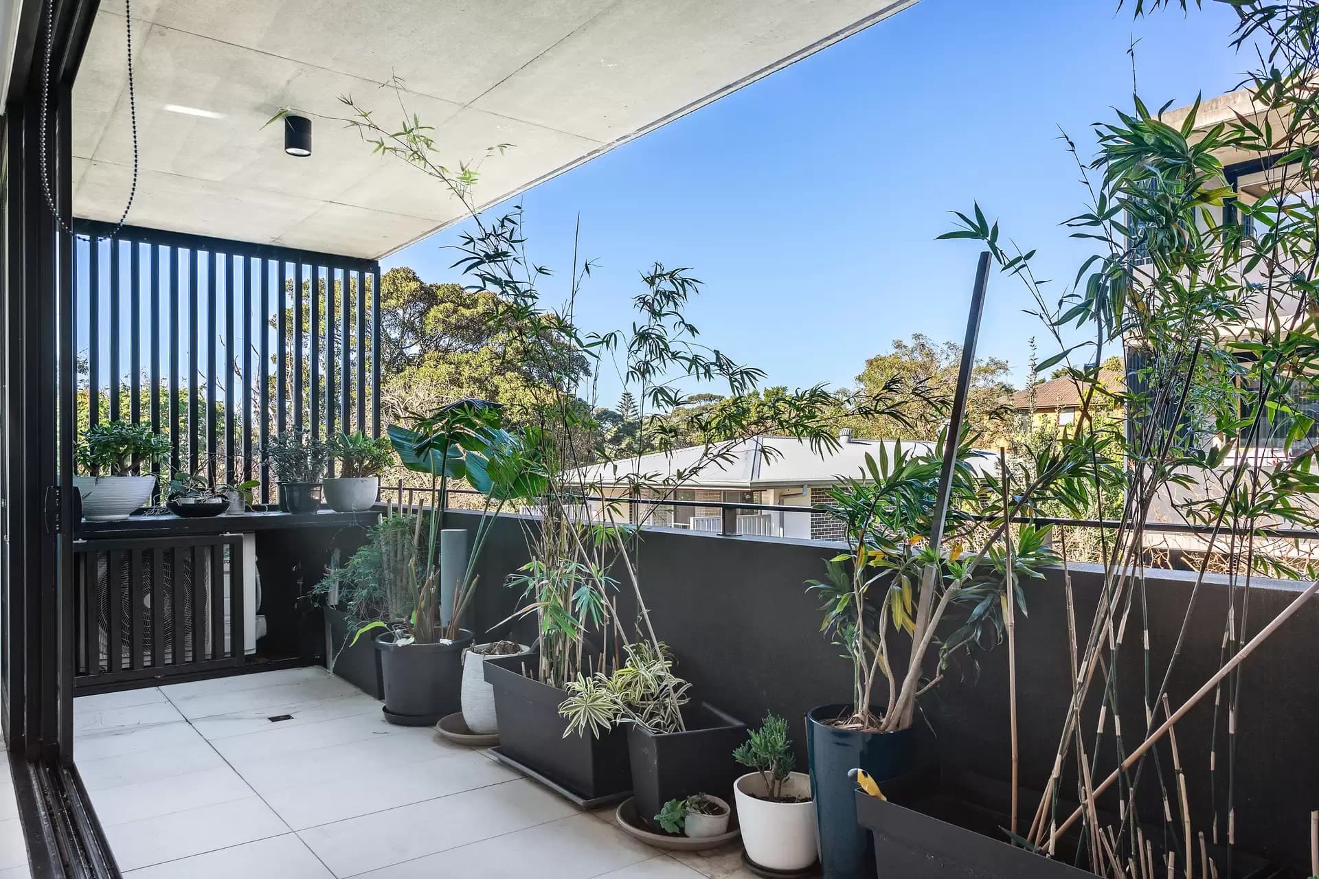 19/293 Alison Road, Coogee, Coogee - Thumbnail 4