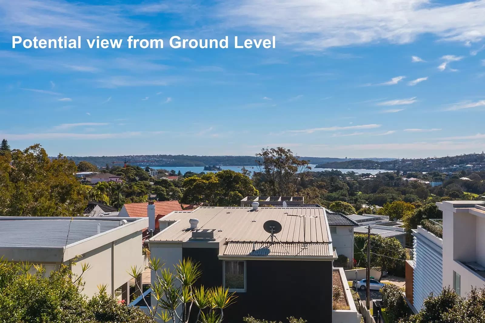 27-27B Benelong Crescent, Bellevue Hill, Bellevue Hill - Thumbnail 6
