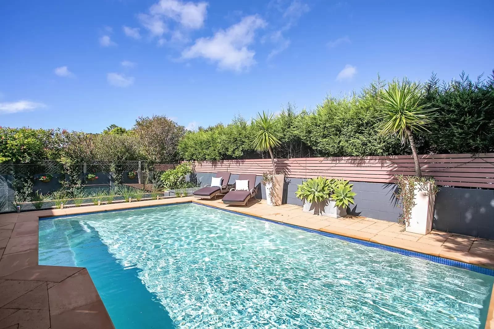 3 Nymboida Street, South Coogee, South Coogee - Thumbnail 7