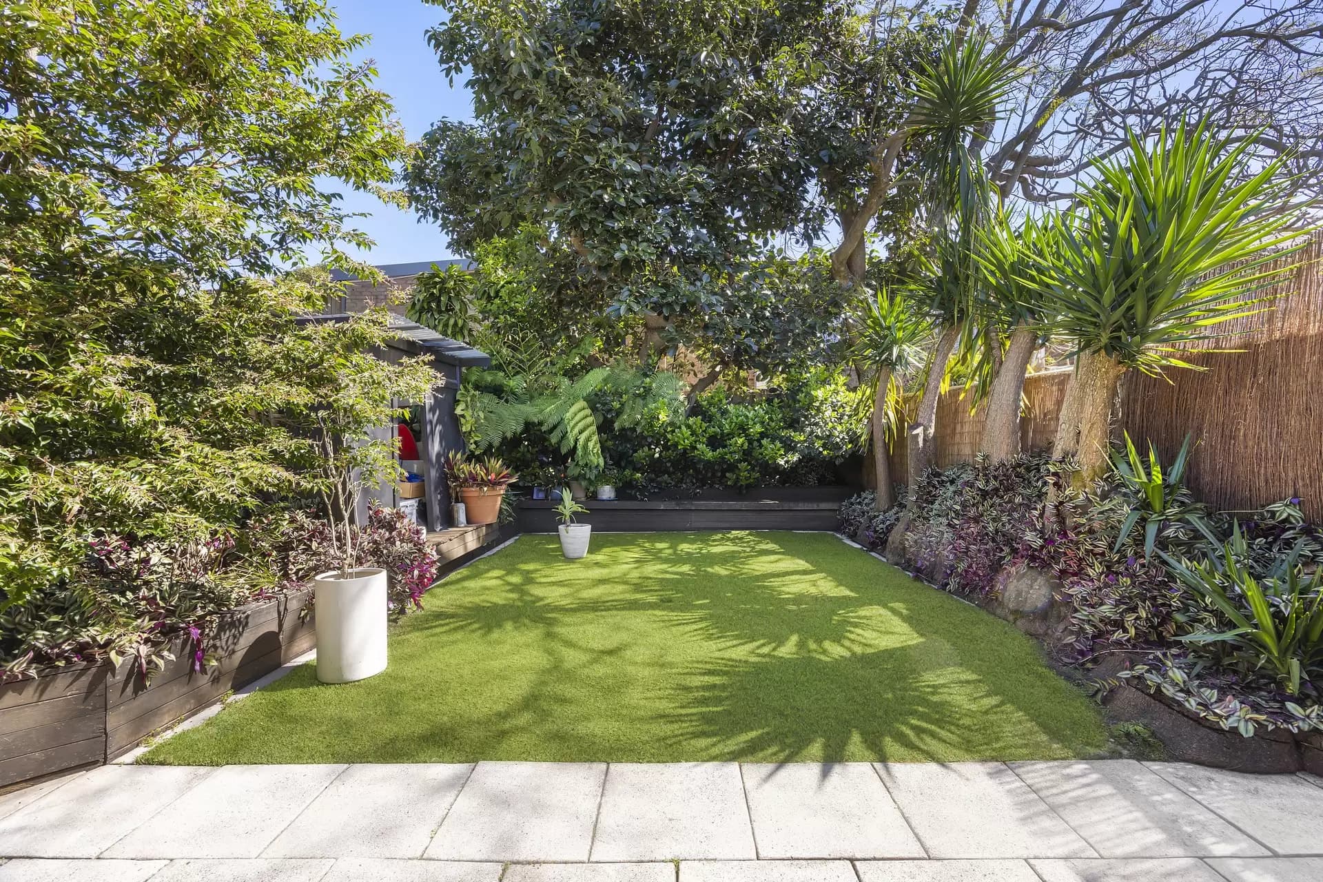172 Carrington Road, Randwick, Randwick - Thumbnail 4