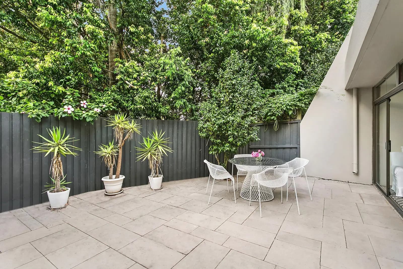11/317 Edgecliff Road, Woollahra, Woollahra - Thumbnail 2