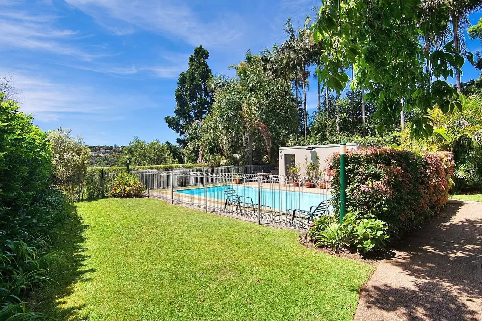 11/317 Edgecliff Road, Woollahra, Woollahra - Thumbnail 5