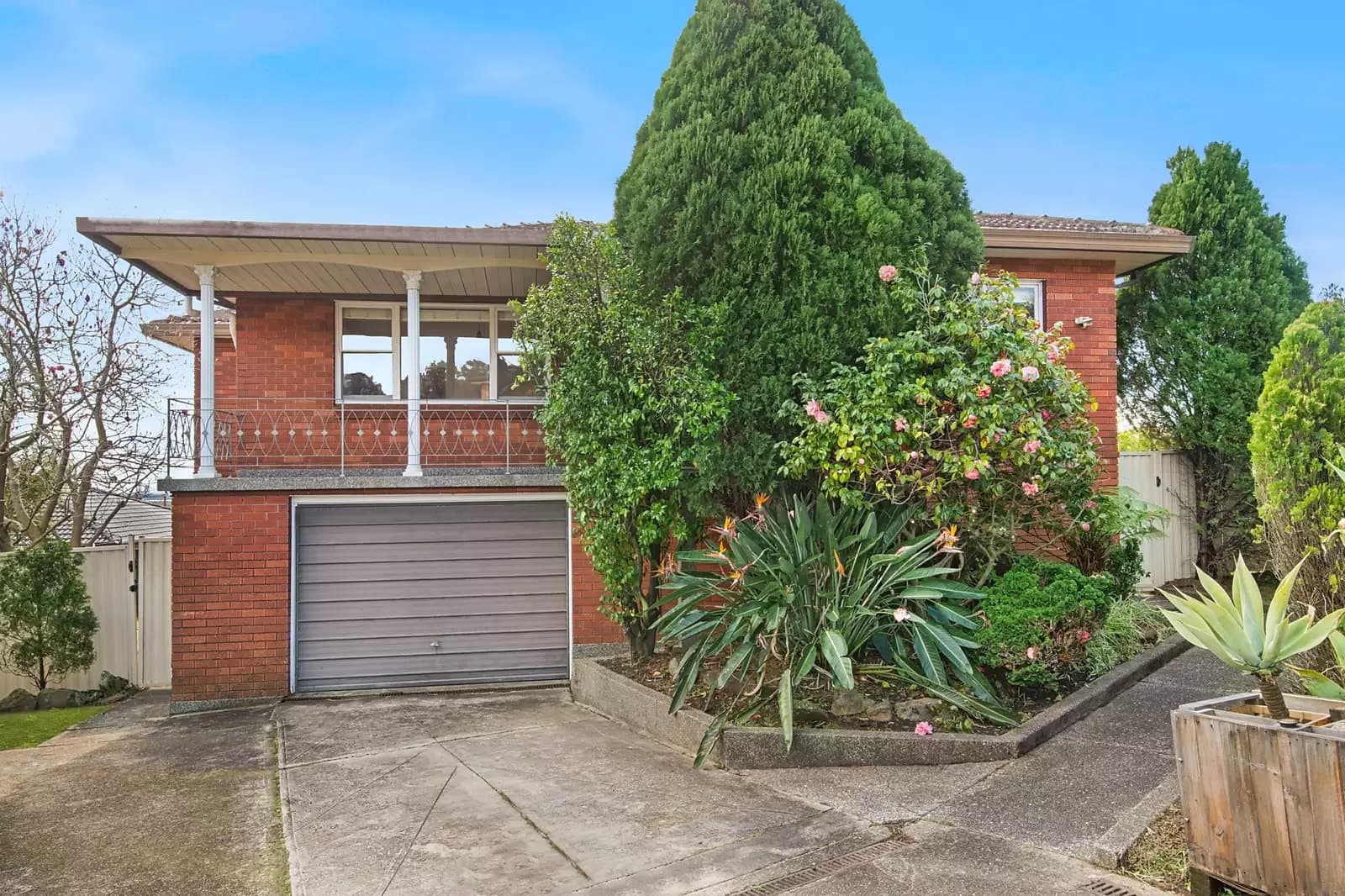 23a Schofield Avenue, Earlwood, Earlwood - Image 1