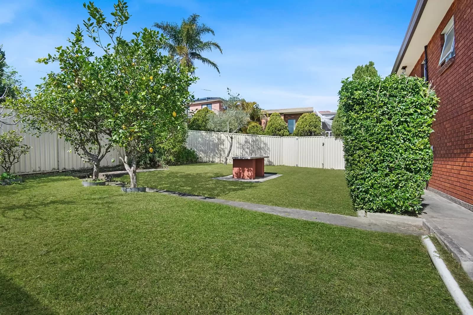 23a Schofield Avenue, Earlwood, Earlwood - Thumbnail 6