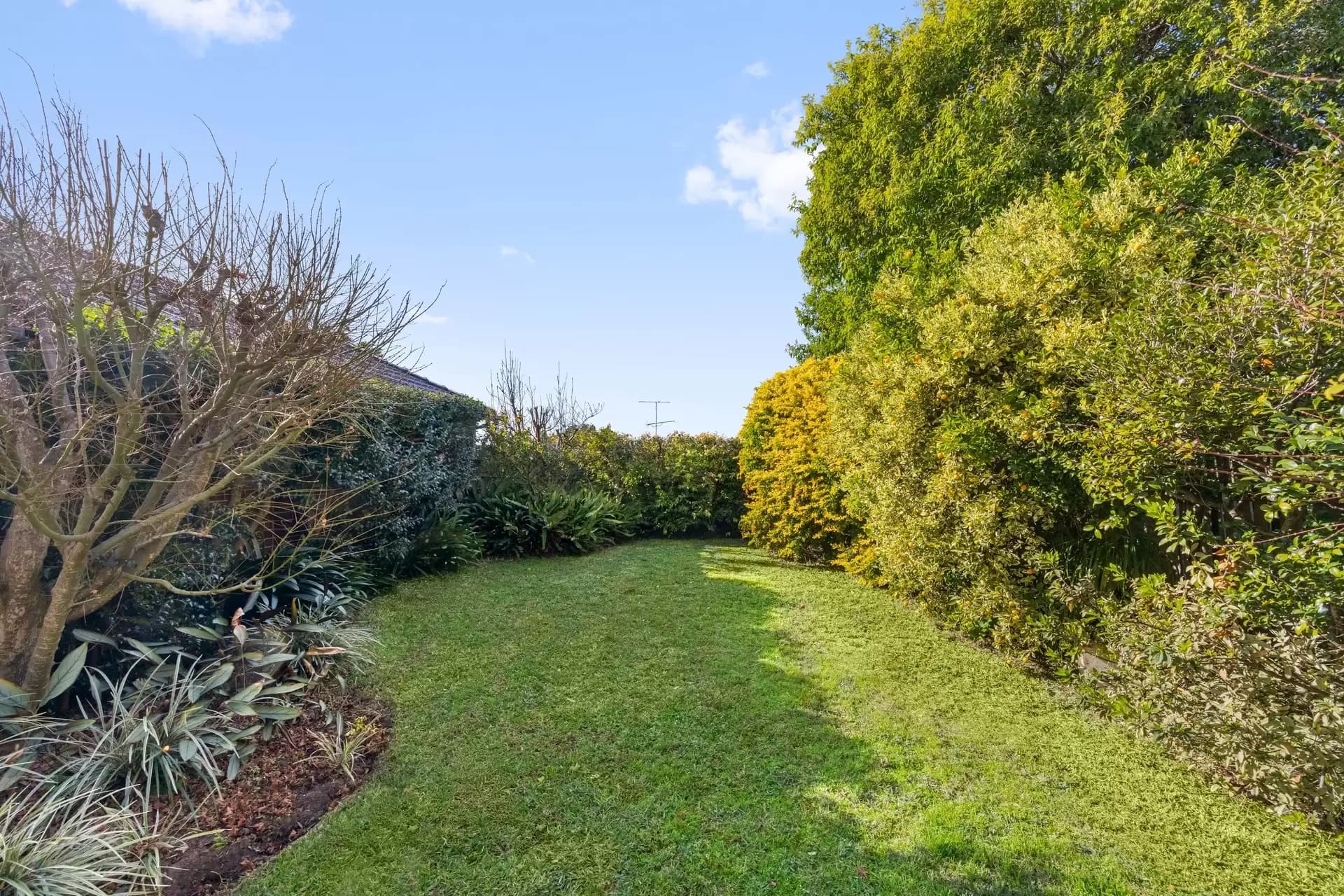 87 Tunstall Avenue, Kingsford, Kingsford - Thumbnail 6