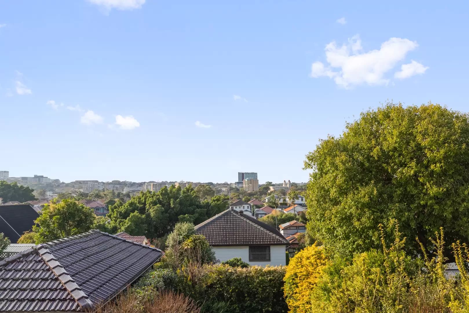 87 Tunstall Avenue, Kingsford, Kingsford - Thumbnail 8
