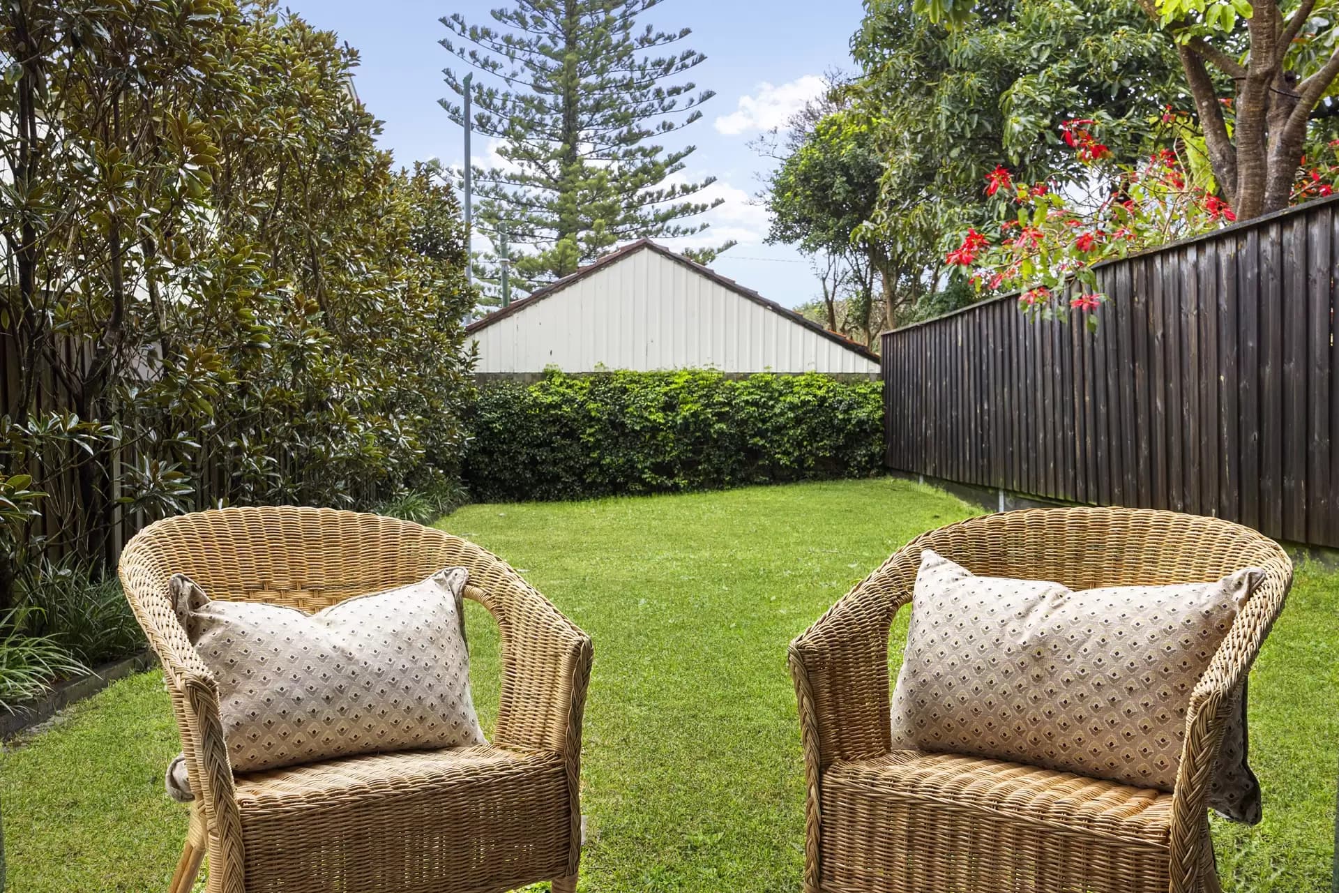 23 Norton Street, Kingsford, Kingsford - Thumbnail 6