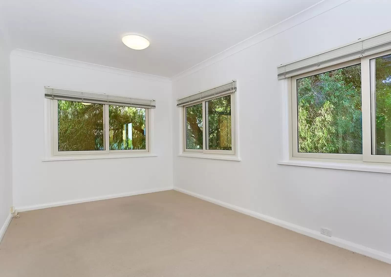 3/58 Arcadia Street, Coogee, Coogee - Thumbnail 3