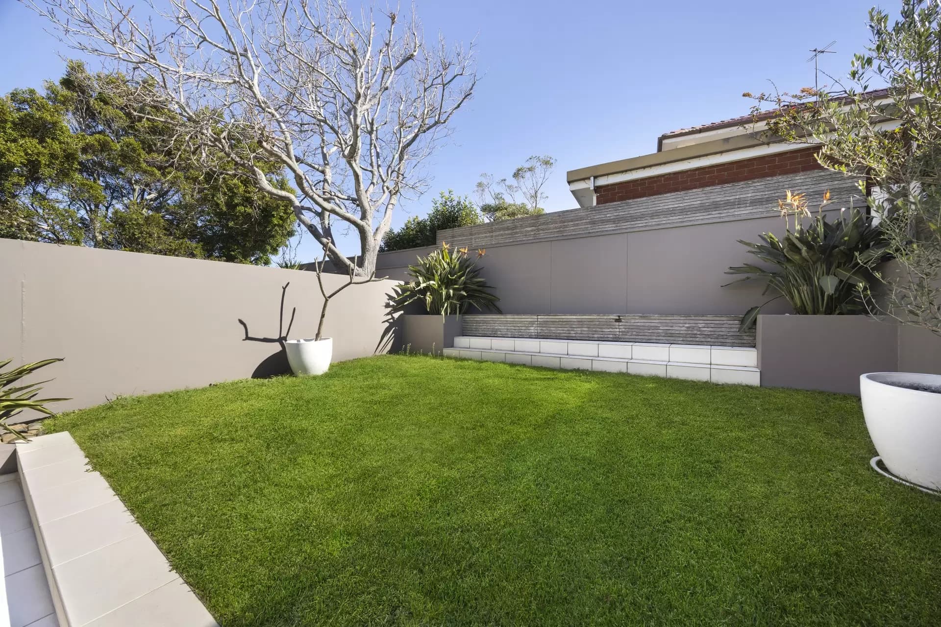 10 Byron Street, Coogee, Coogee - Thumbnail 8