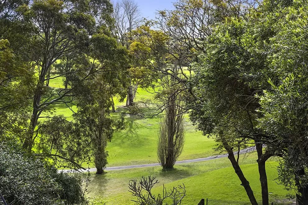 31 Salisbury Road, Kensington, Kensington - Thumbnail 3