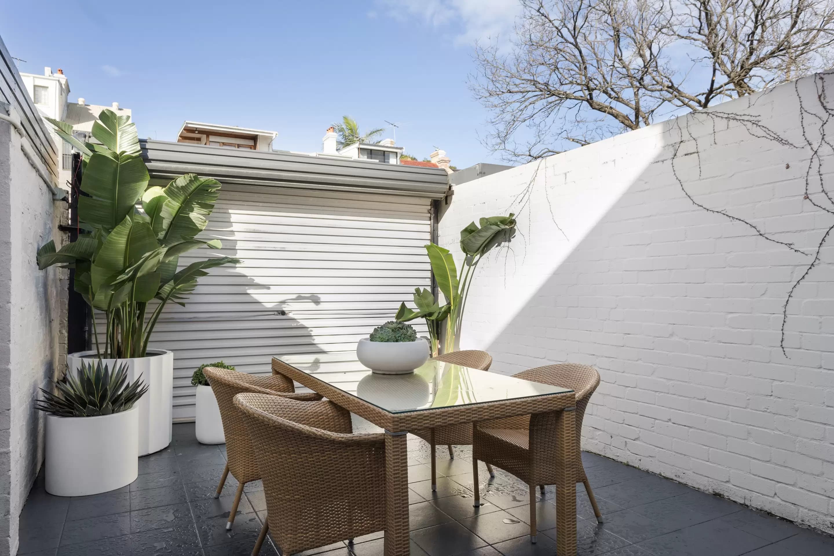 26 Alexander Street, Paddington, Paddington - Thumbnail 8