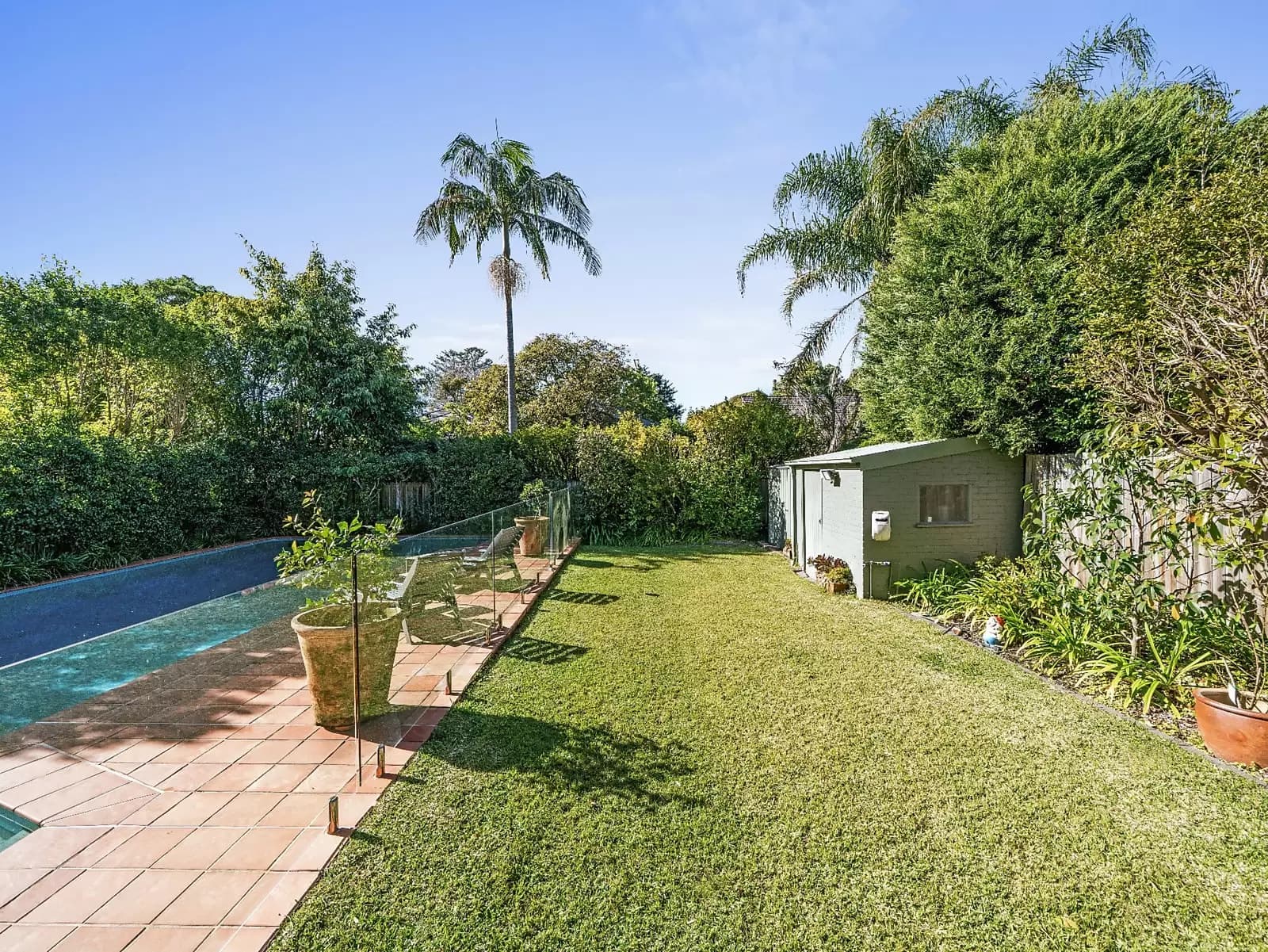 67 Balfour Road, Bellevue Hill, Bellevue Hill - Thumbnail 6
