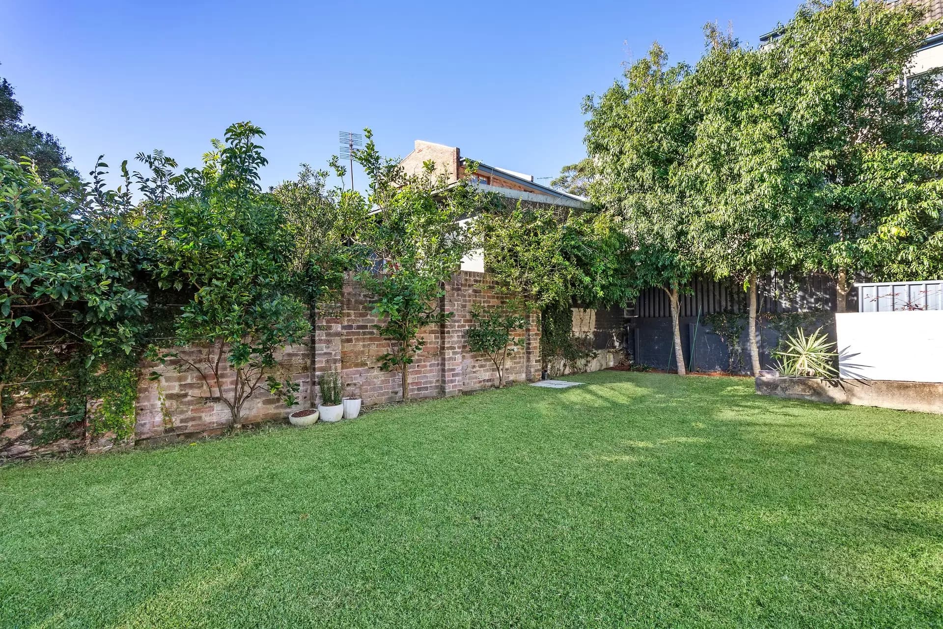 253 Avoca Street, Randwick, Randwick - Thumbnail 3