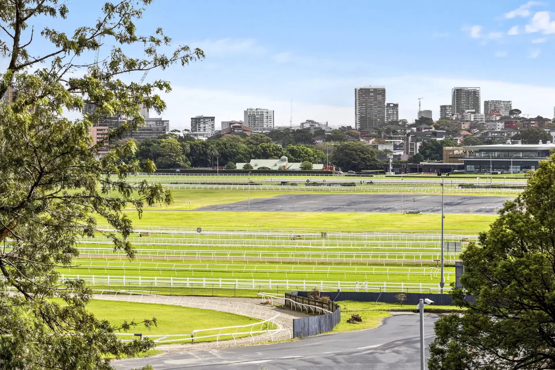 3 Wansey Road, Randwick, Randwick - Thumbnail 3