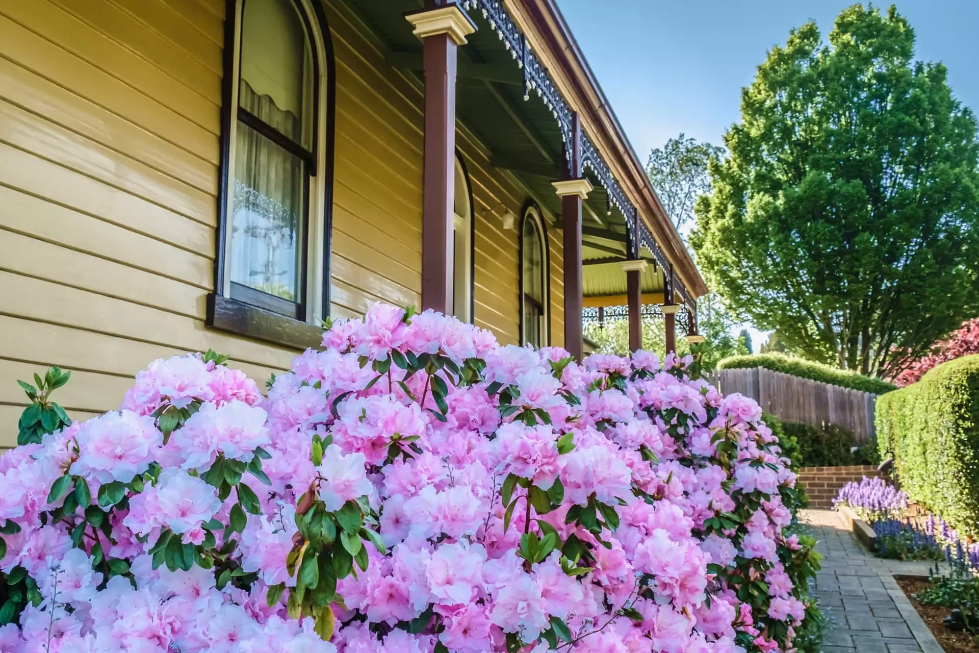 52 Shepherd Street, Bowral, Bowral - Thumbnail 5
