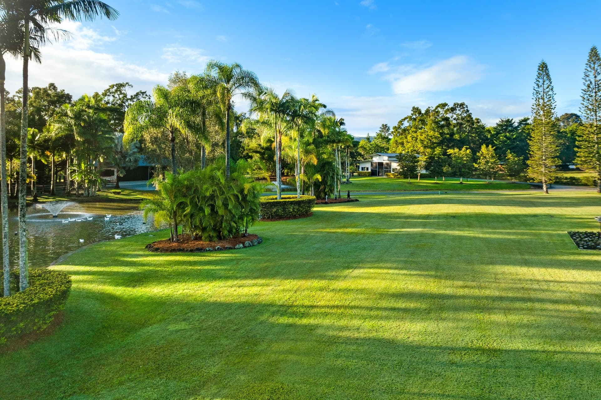 250 Birds Road, Guanaba, QLD, 4210, Guanaba - Thumbnail 5