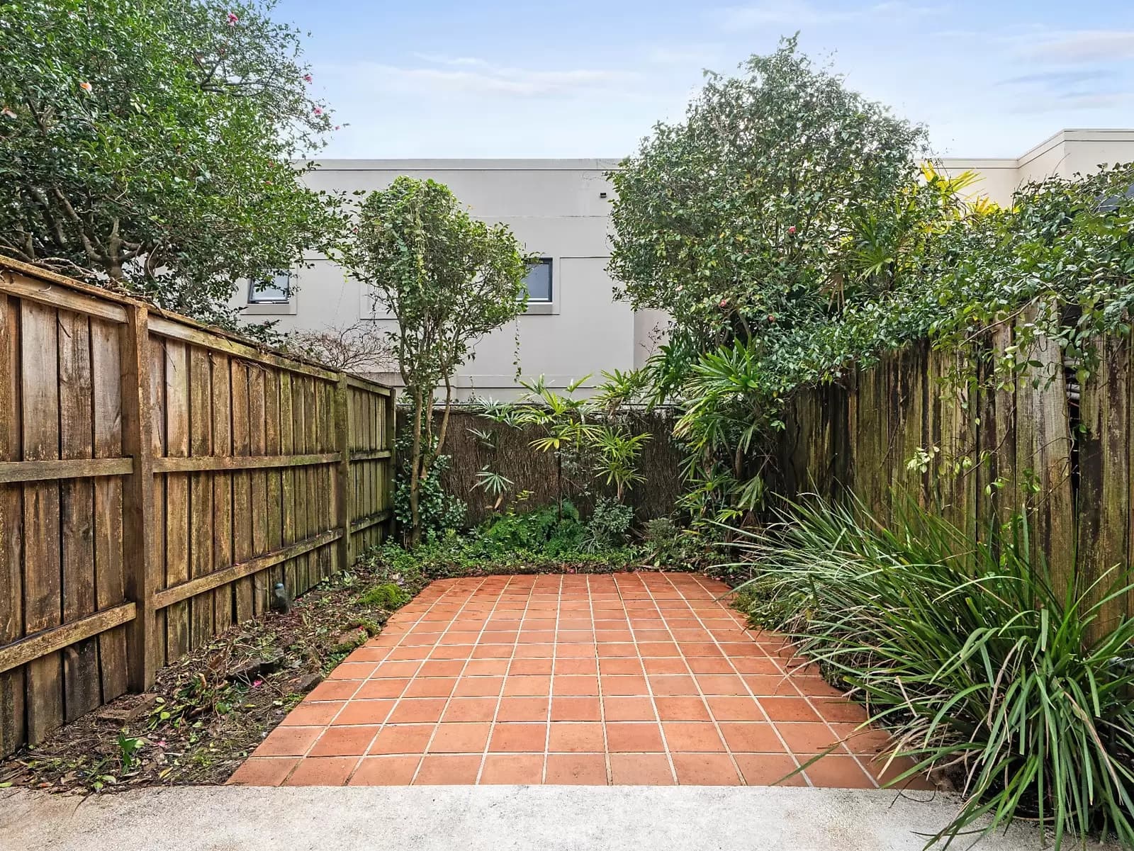 6/58 Ocean Street, Woollahra, Woollahra - Thumbnail 2