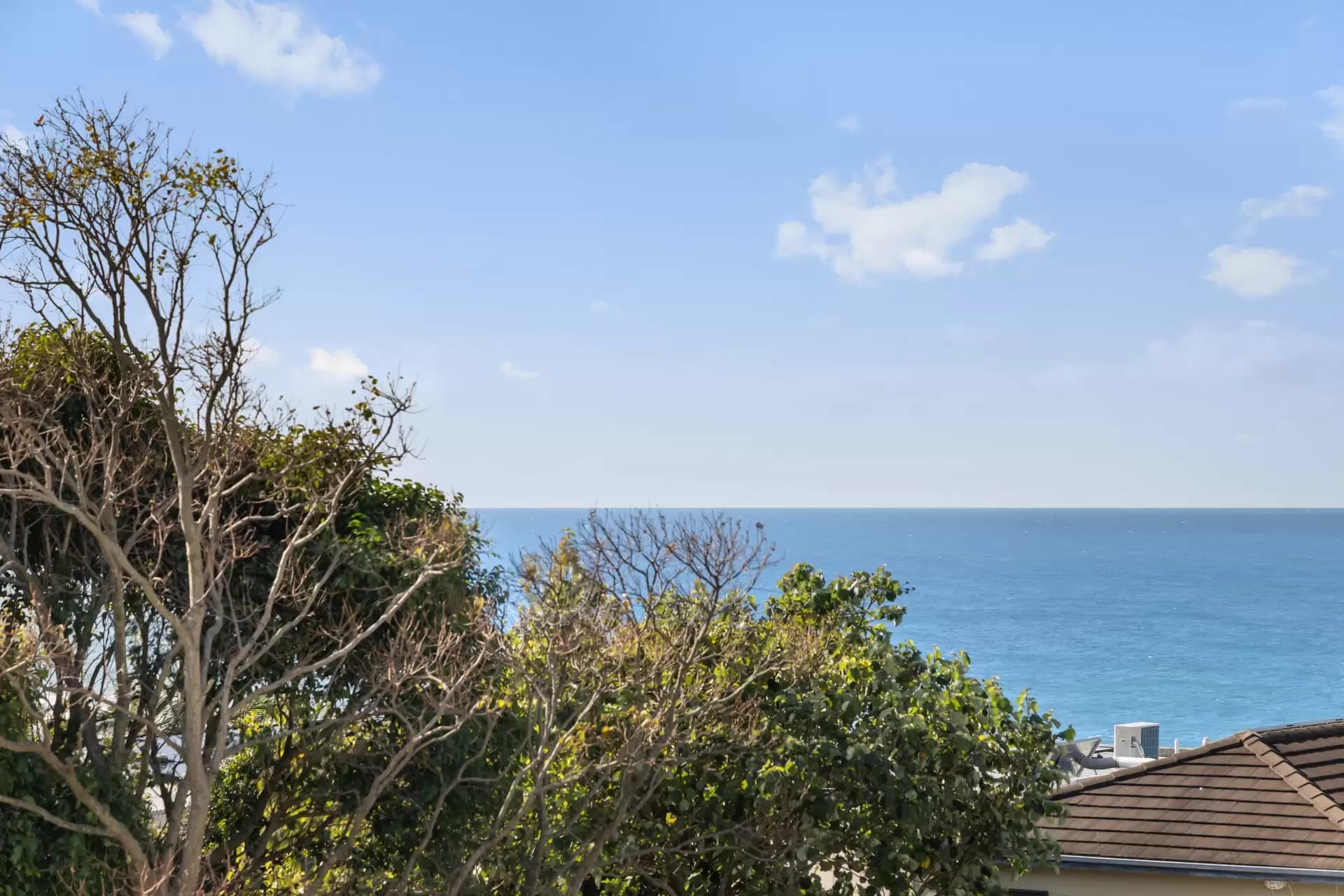 7c Yanko Avenue, Bronte, Bronte - Thumbnail 6