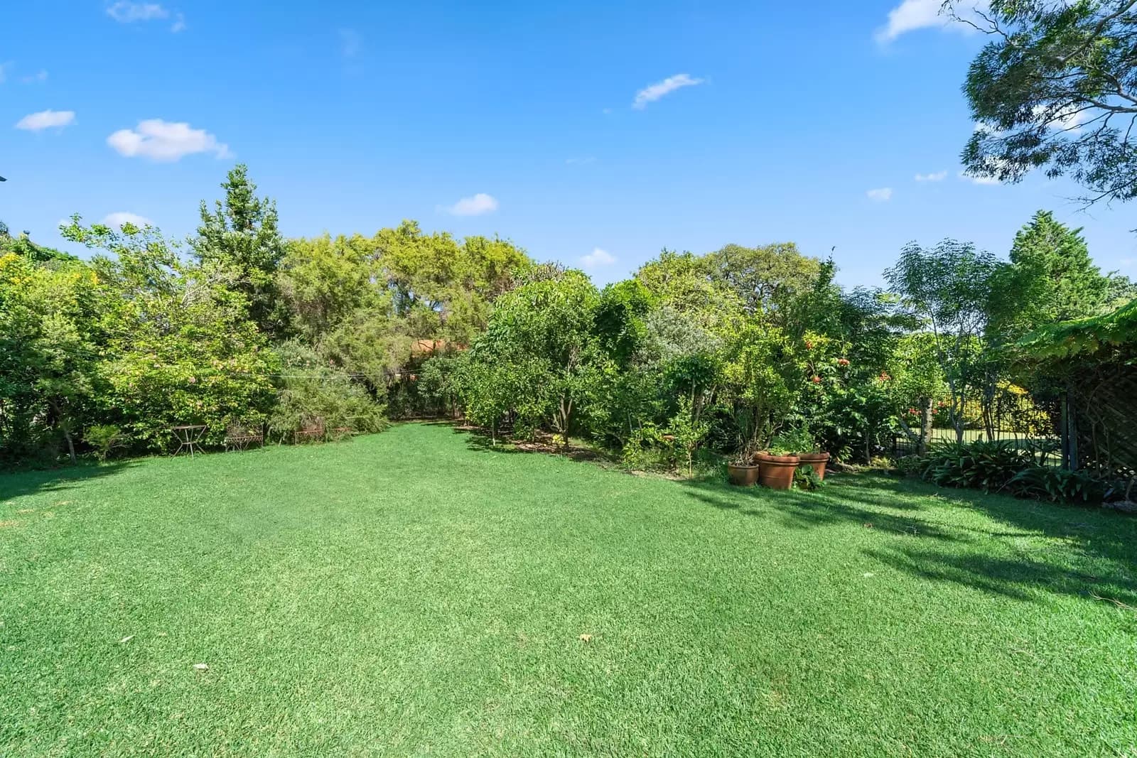 40 Coolong Road, Vaucluse, Vaucluse - Thumbnail 6