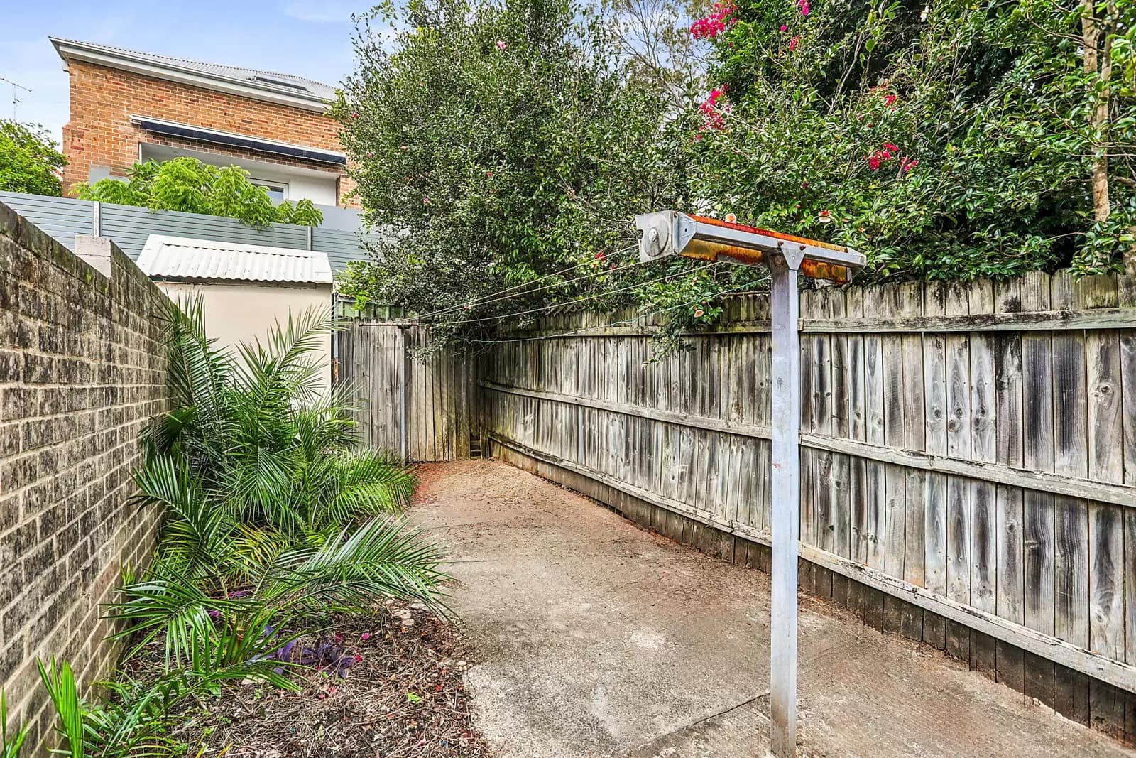 36 MacKenzie Street, Bondi Junction, Bondi Junction - Thumbnail 5