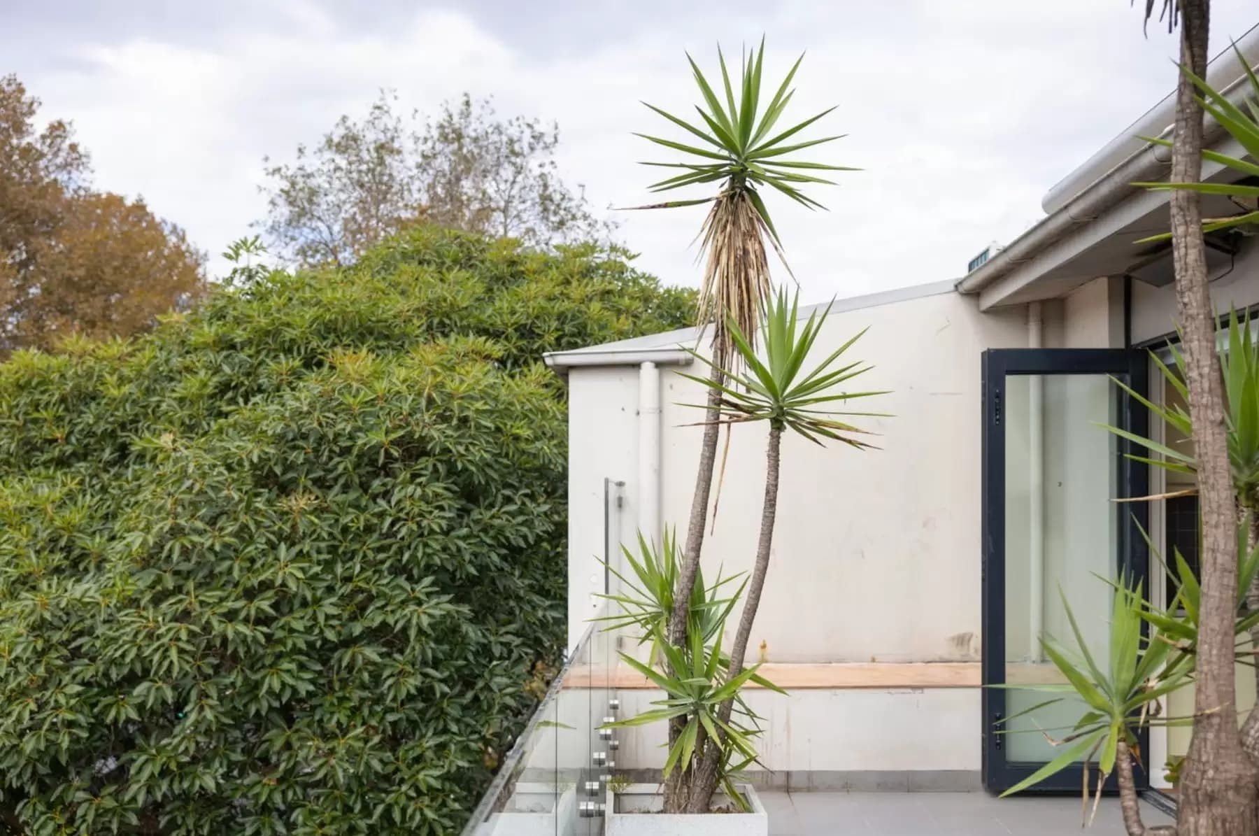 10/265 Crown Street, Surry Hills, Surry Hills - Thumbnail 5