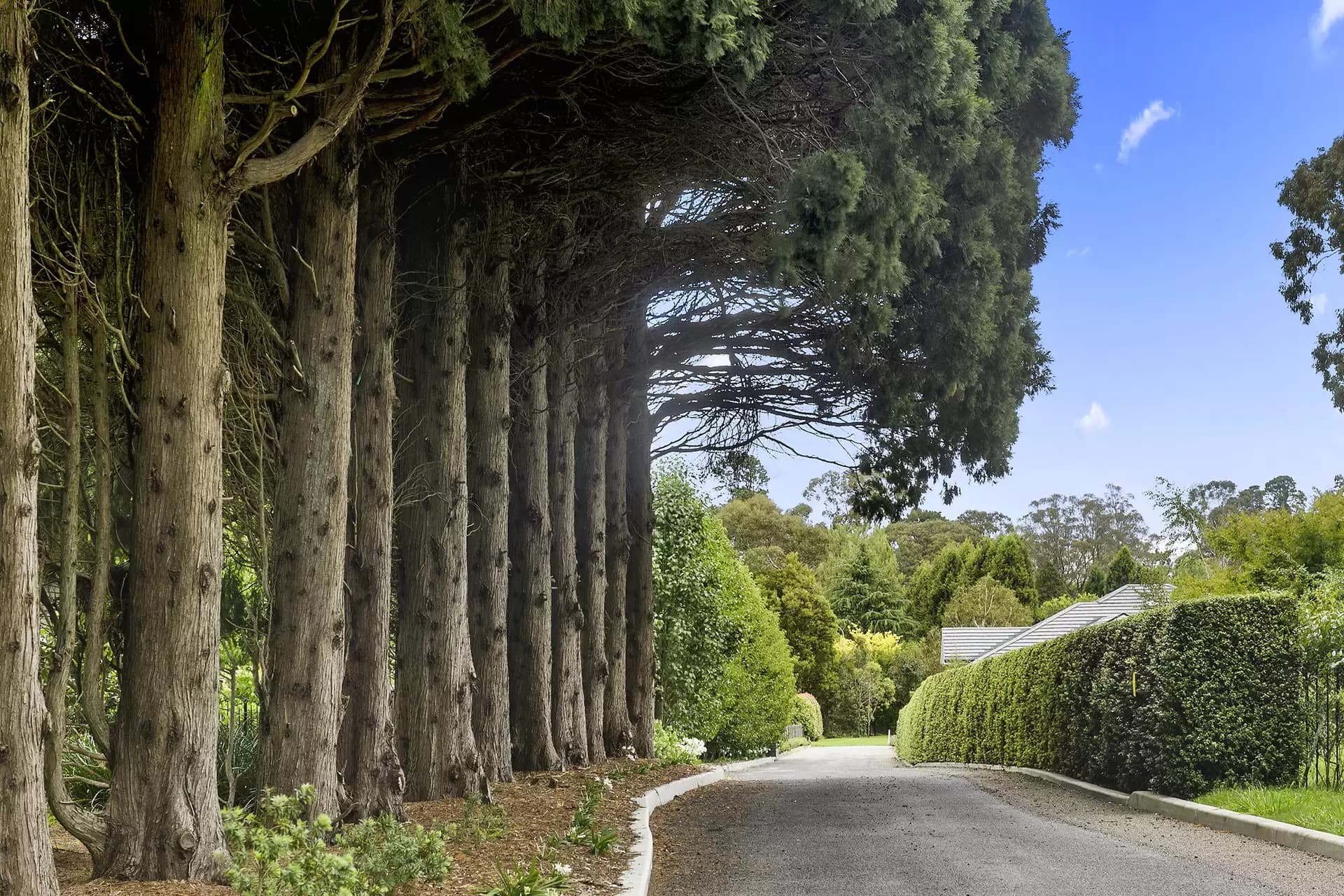 29B Links Road, Burradoo, Burradoo - Thumbnail 6