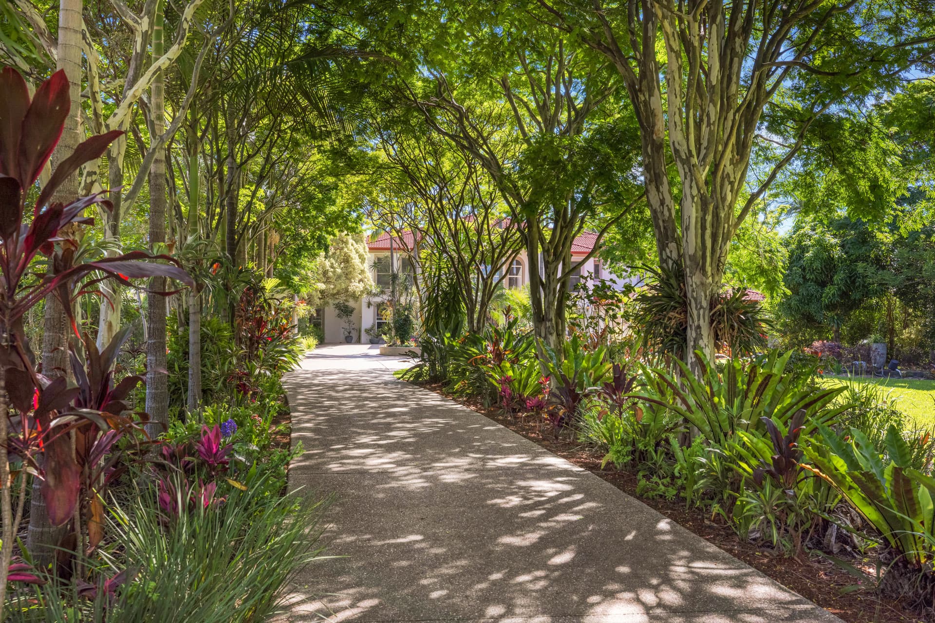 24 Maryland Avenue, Carrara, QLD, 4211, Carrara - Thumbnail 5