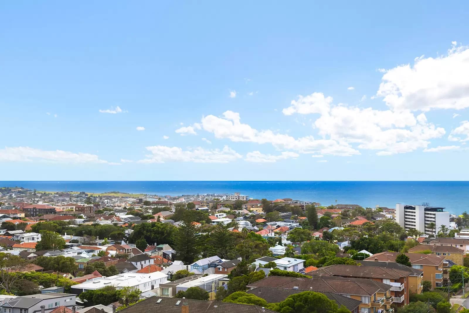 28/205 Birrell Street, Waverley, Waverley - Thumbnail 4
