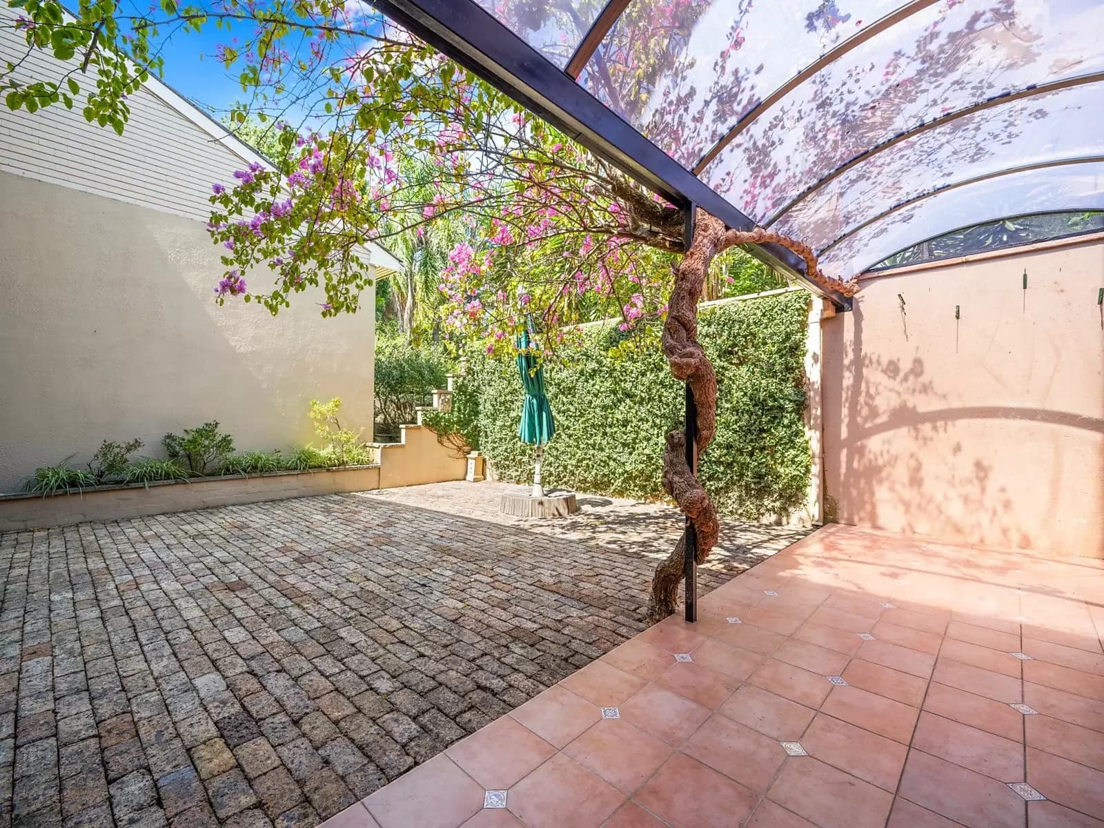 16B Ocean Avenue, Double Bay, Double Bay - Thumbnail 4