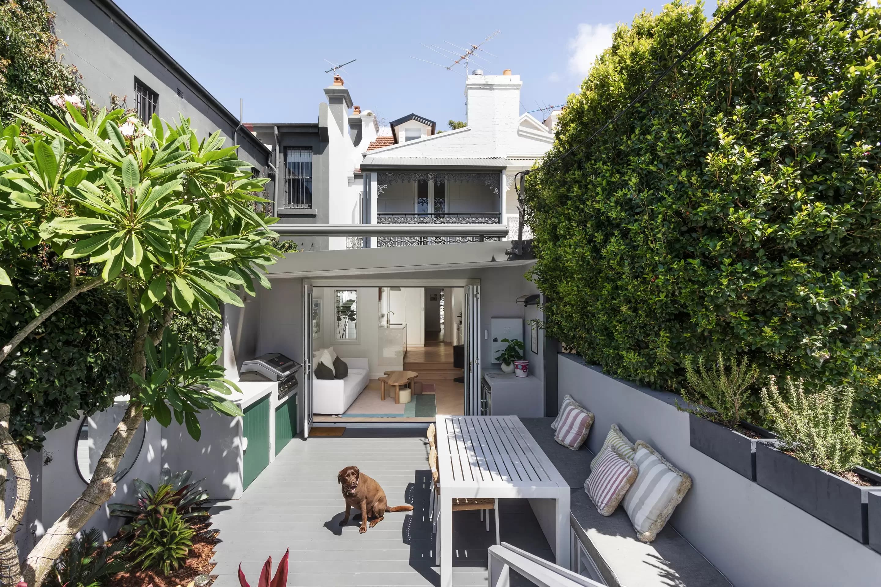 188 Hargrave Street, Paddington, Paddington - Thumbnail 3