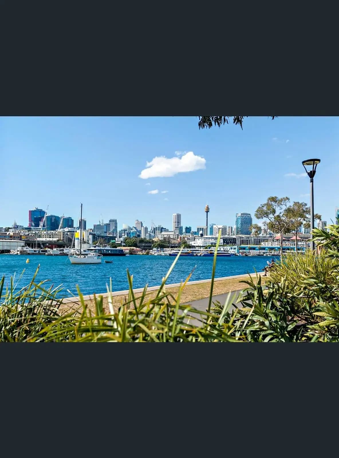 15 Avon Street, Glebe, Glebe - Thumbnail 2