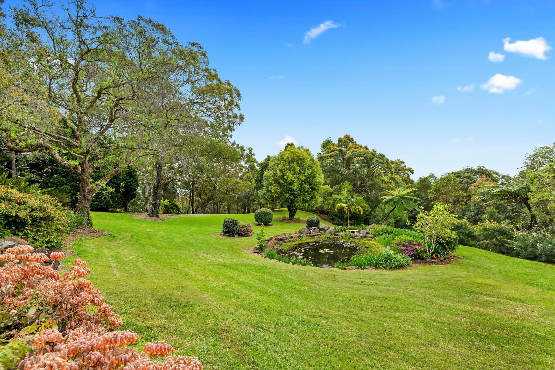 238-240 MacDonnell Road, Tamborine Mountain, QLD, 4272, Tamborine Mountain - Thumbnail 8