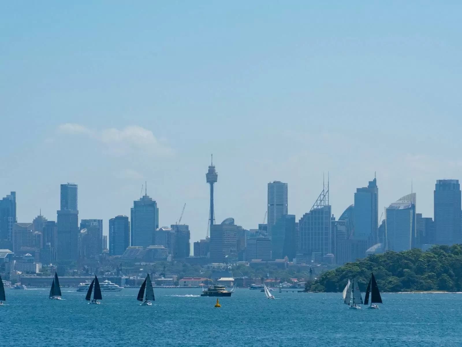 32A Pacific Street, Watsons Bay, Watsons Bay - Thumbnail 2