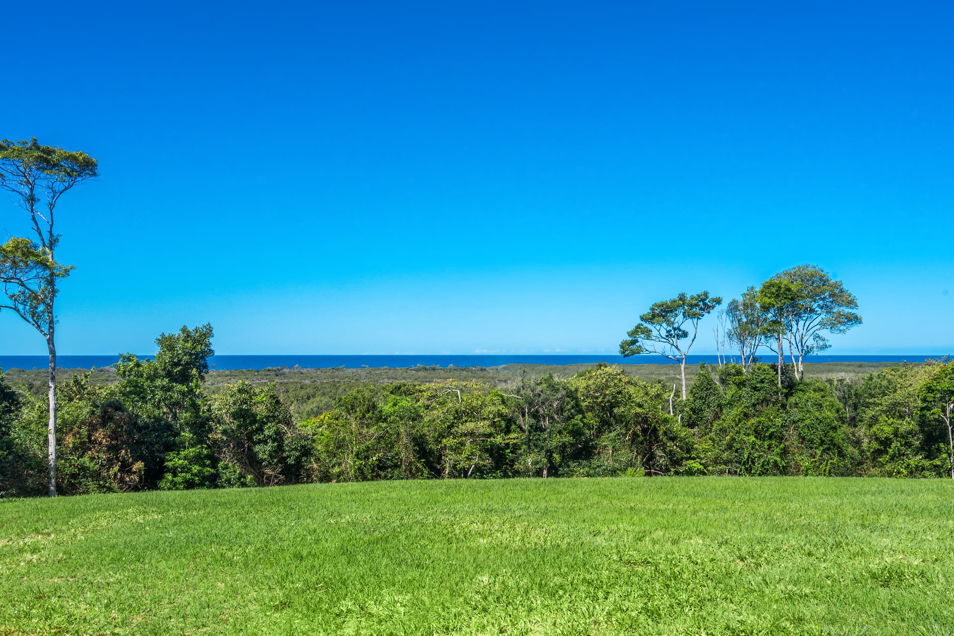 168 Grays  Lane, Tyagarah, NSW, 2481, Tyagarah - Thumbnail 3