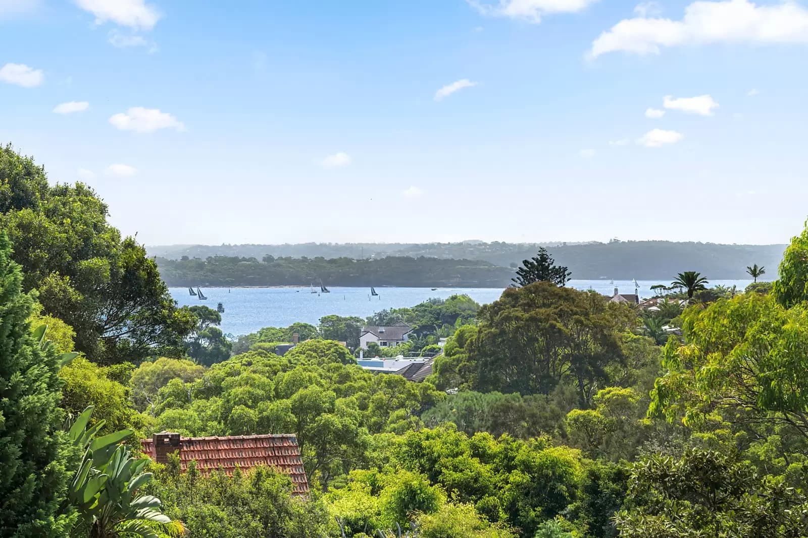80A Hopetoun Avenue, Vaucluse, Vaucluse - Thumbnail 3