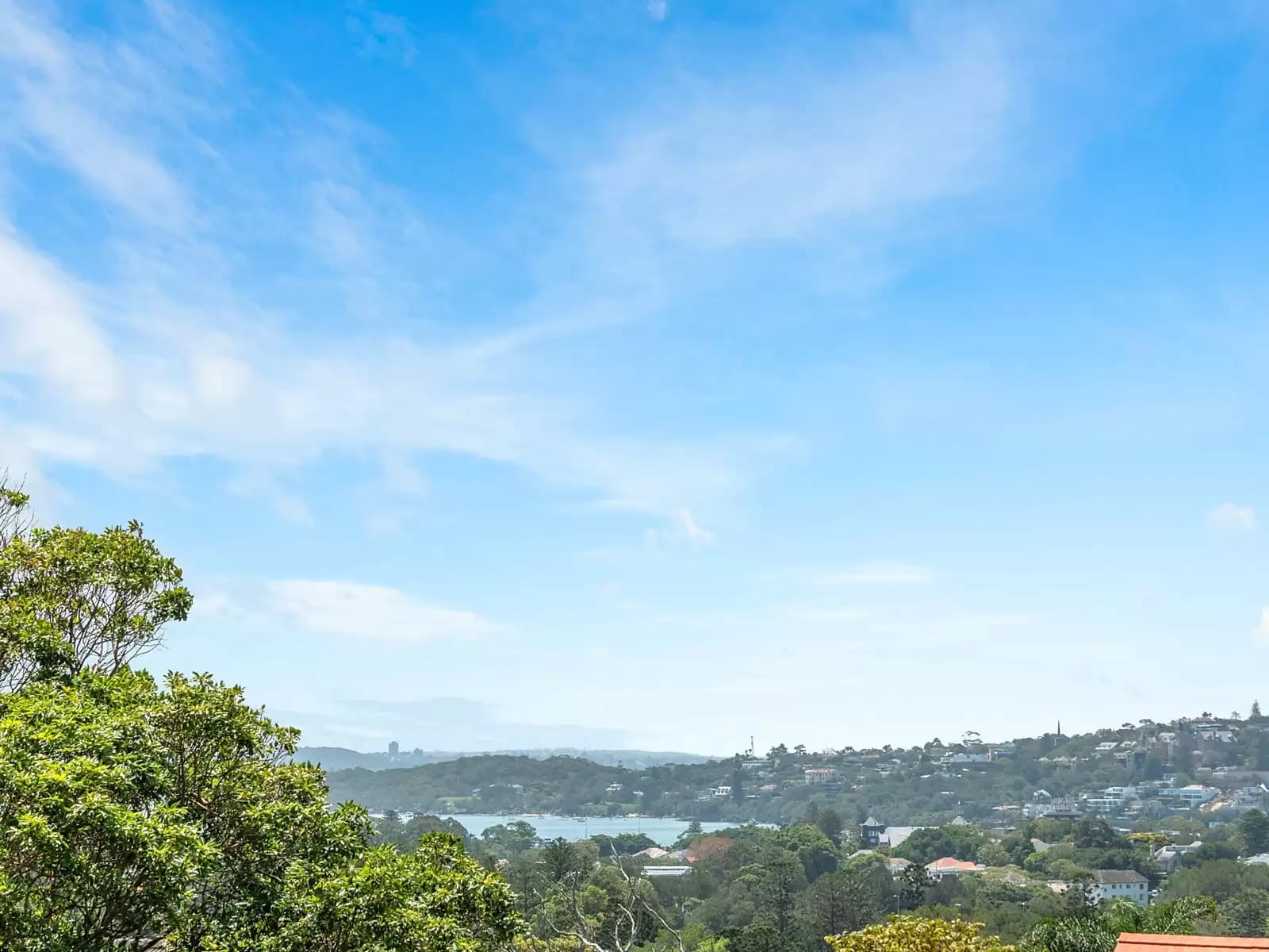 36 Bundarra Road, Bellevue Hill, Bellevue Hill - Thumbnail 3